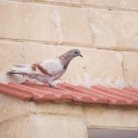 Glaro Garden Hotel 3*