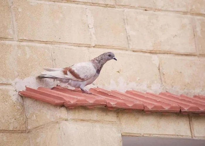 Glaro Garden Hotel 3*